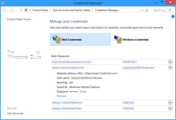 outlook credential manager